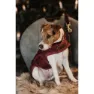 Kentucky Original Hundjacka