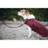 Kentucky Original Hundjacka