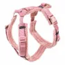 Kentucky Teddy Fleece Hundsele, Old rose, 30-48cm