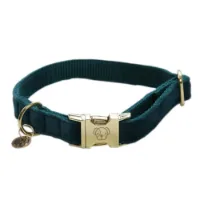 Kentucky Velvet Hundhalsband