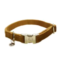 Kentucky Velvet Hundhalsband