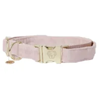 Kentucky Velvet Hundhalsband
