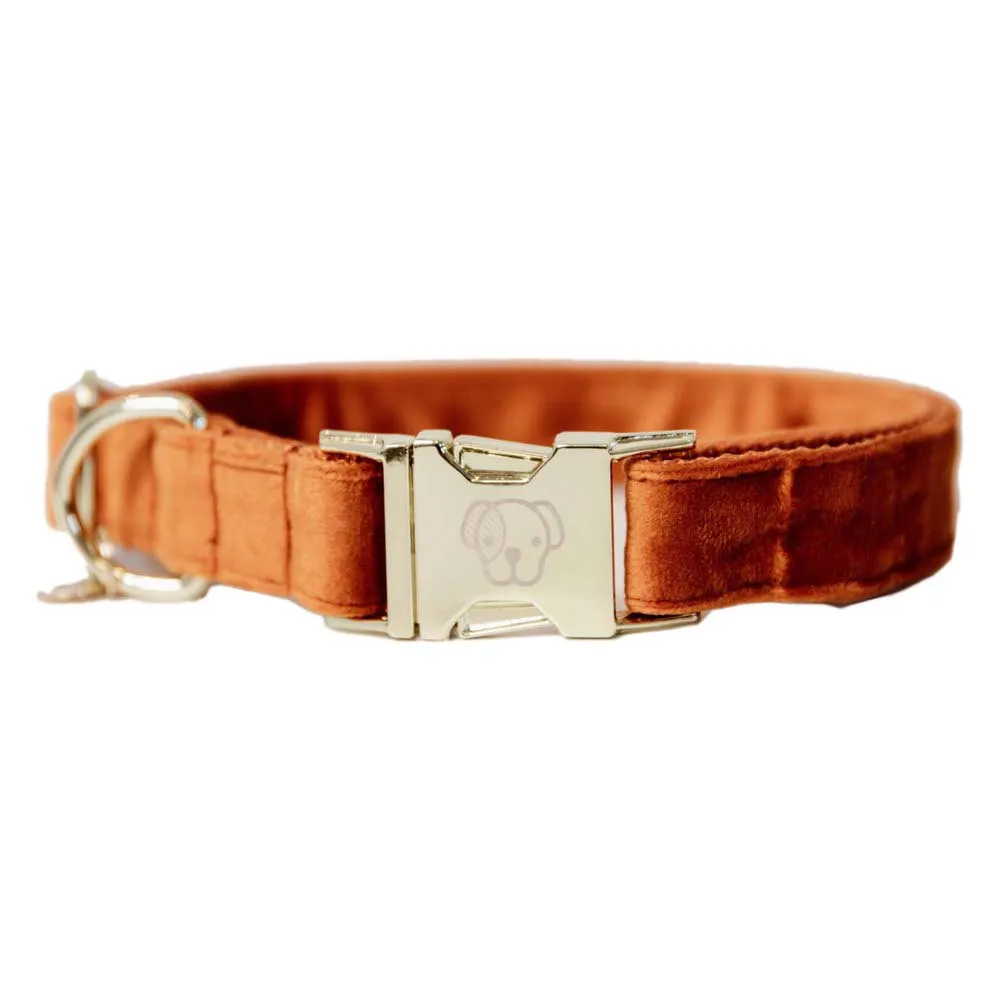 Kentucky Velvet Hundhalsband