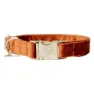 Kentucky Velvet Hundhalsband
