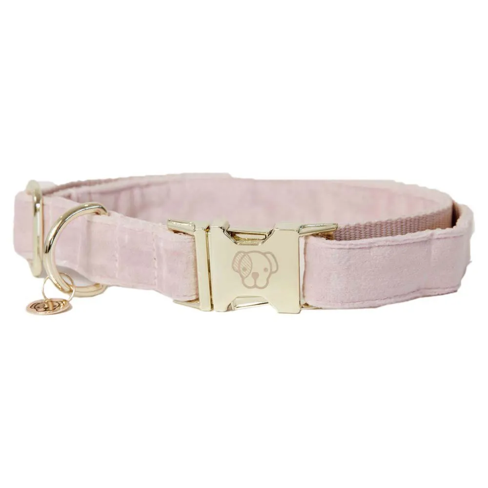 Kentucky Velvet Hundhalsband