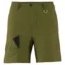 Fern green 2