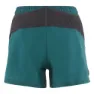 Klättermusen Men's Bele Shorts