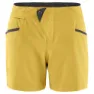 Klättermusen Vanadis 2.0 Shorts