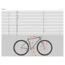 Kona Honzo 24´´ Altus 2024 Mtb Cykel, Gloss faux chrome, One Size