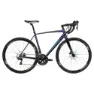 Blue / purple