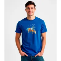 Kruskis Compass Bear T-shirt Med Korta ärmar