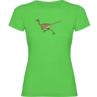 Kruskis Dino Run T-shirt Med Korta ärmar male Kruskis Dino Run T-shirt Med Korta ärmar male