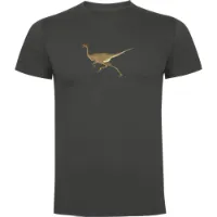 Kruskis Dino Run T-shirt Med Korta ärmar male Kruskis Dino Run T-shirt Med Korta ärmar male