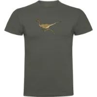 Kruskis Dino Run T-shirt Med Korta ärmar male Kruskis Dino Run T-shirt Med Korta ärmar male