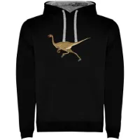 Kruskis Dino Run Two-colour Tröja Med Huva male