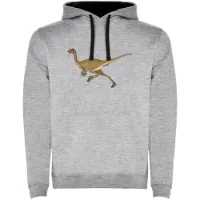 Kruskis Dino Run Two-colour Tröja Med Huva male Kruskis Dino Run Two-colour Tröja Med Huva male