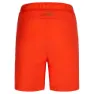 La Sportiva Guard Shorts