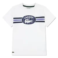 Lacoste Striped Logo T-shirt Med Korta ärmar