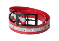 Lafayette Dog Collar Reflective Lafayette Dog Collar Reflective