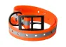 Lafayette Dog Collar Reflective