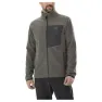 Castor grey