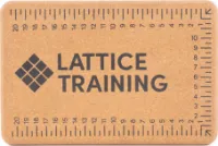 Lattice Training Flex Block Lattice Training Flex Block
