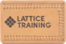 Lattice Training Flex Block, Cork, One Size