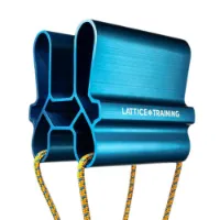 Lattice Training Quad Block Klättergrepp