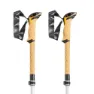 LEKI Cressida Fx Carbon As Stavar, White / mango / silver, 100-120cm