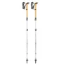 LEKI Cressida Fx Carbon As Stavar, White / mango / silver, 100-120cm