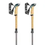 LEKI Cressida Fx Carbon Stavar, Brown metallic / mint / chocolate brown metallic, 100-120cm