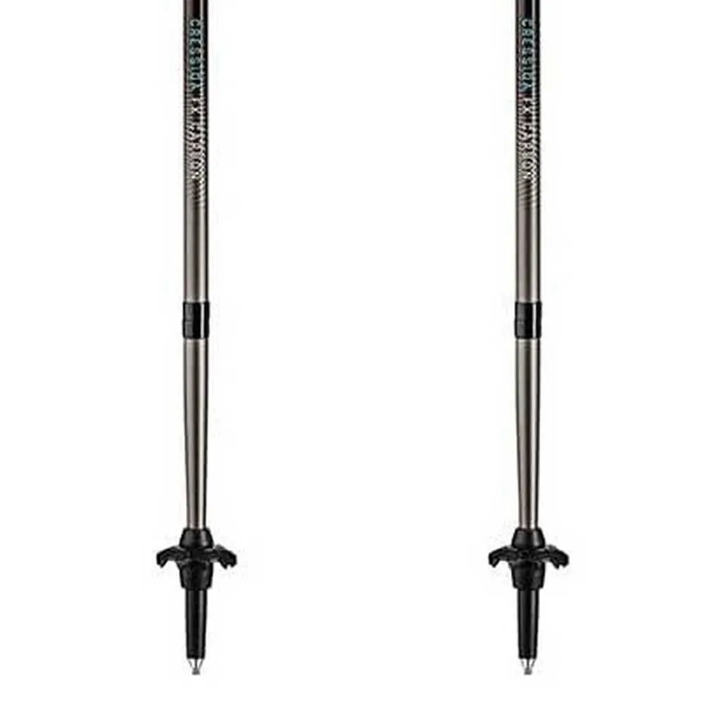 LEKI Cressida Fx Carbon Stavar, Brown metallic / mint / chocolate brown metallic, 100-120cm