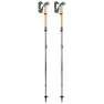 LEKI Cressida Fx Carbon Stavar, Brown metallic / mint / chocolate brown metallic, 100-120cm
