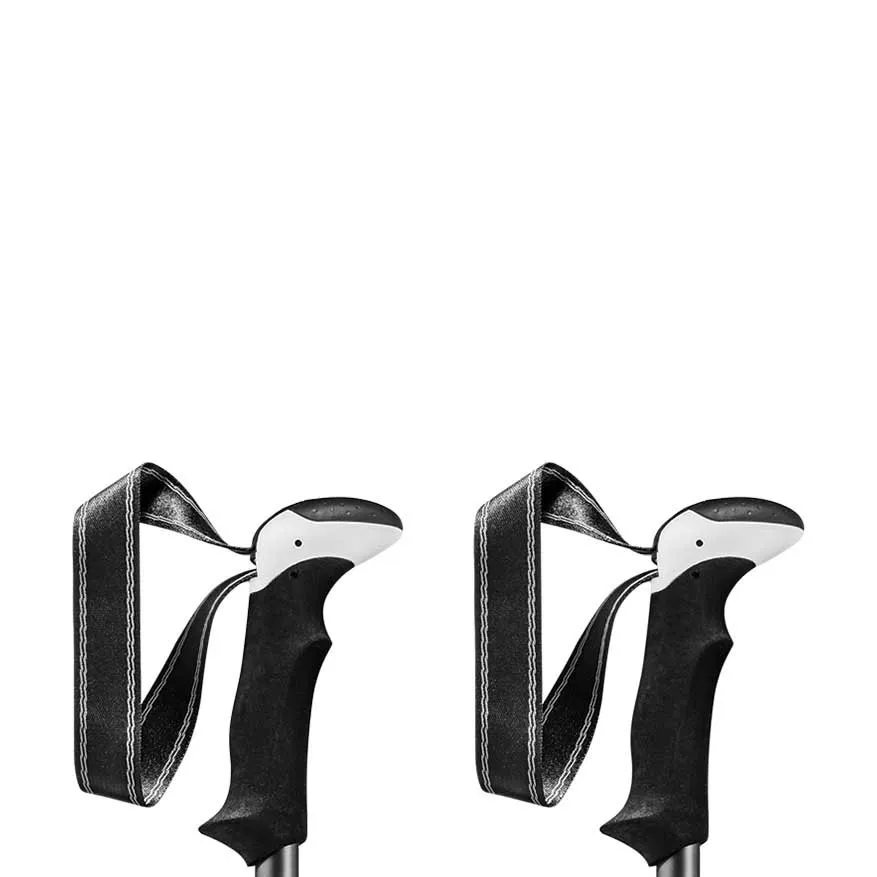 LEKI Khumbu Pro Stavar, Black / dark anthracite / genoa, 110-145cm