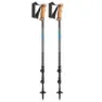 LEKI Legacy Stavar, Light anthracite / petrol / dark anthracite, 110-145cm