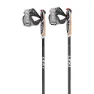 LEKI Pacemaker Lite Stavar