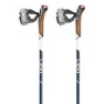 LEKI Smart Pacer Lite Stavar