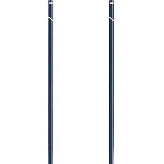 LEKI Smart Pacer Lite Stavar