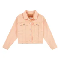 Levi's Baggy Trucker Jacka Levi's Baggy Trucker Jacka