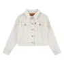 Levi's Baggy Trucker Jacka