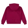 Levi's Batwing Chest Hit Tröja Med Huva