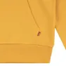 Levi's Batwing Screenprint Tröja Med Huva