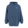 Levi's Collegiate Tröja Med Huva