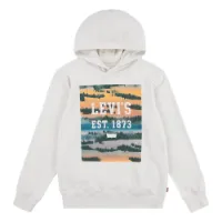 Levi's Landscape Box Tröja Med Huva