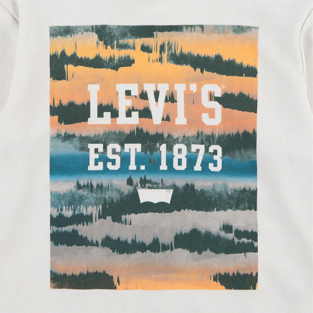 Levi's Landscape Box Tröja Med Huva