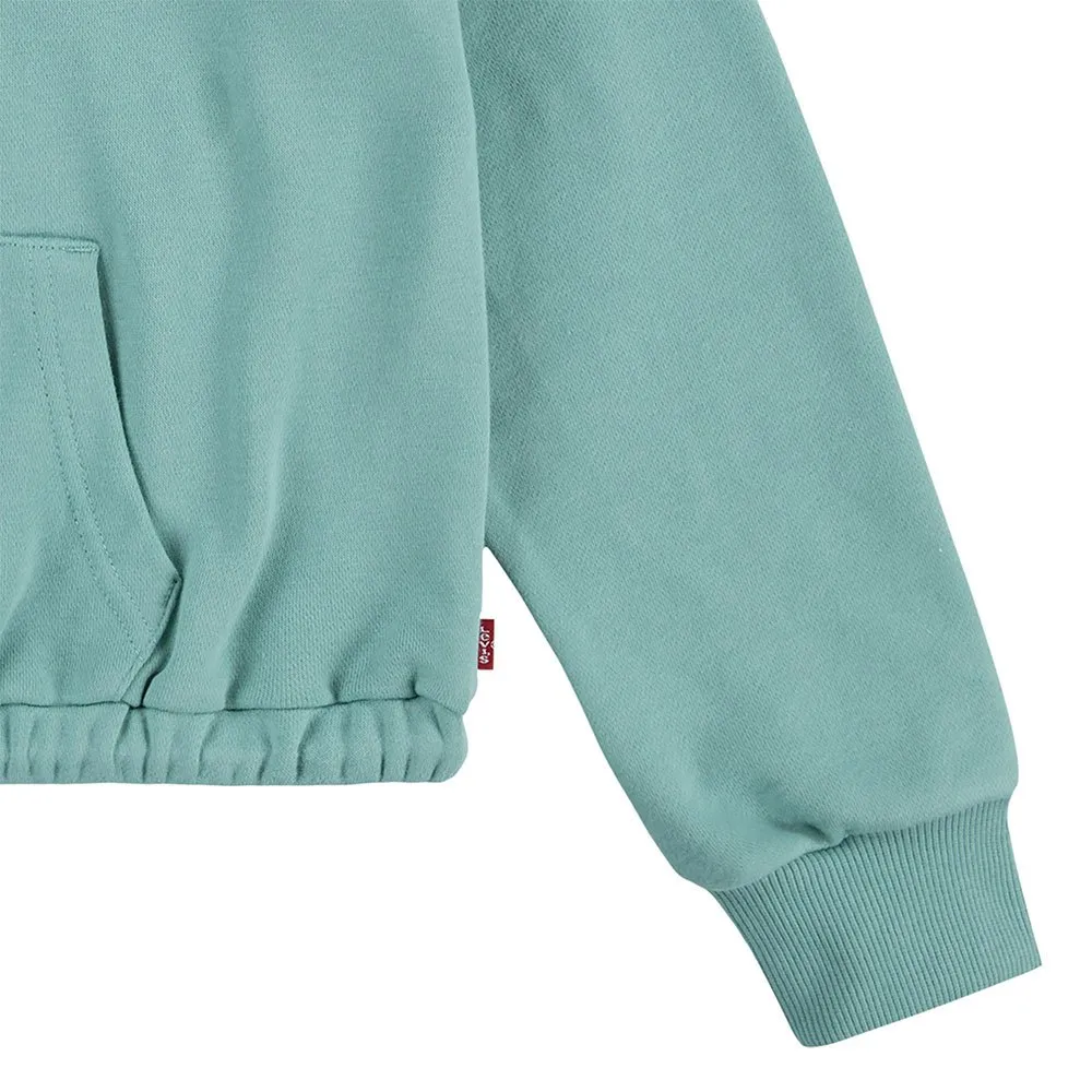 Levi's Meet And Greet Halv Dragkedja Sweatshirt