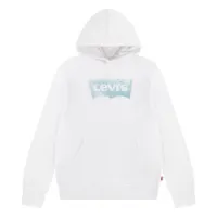 Levi's Palm Batwing Fill Tröja Med Huva
