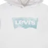 Levi's Palm Batwing Fill Tröja Med Huva