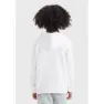 Levi's Palm Batwing Fill Tröja Med Huva
