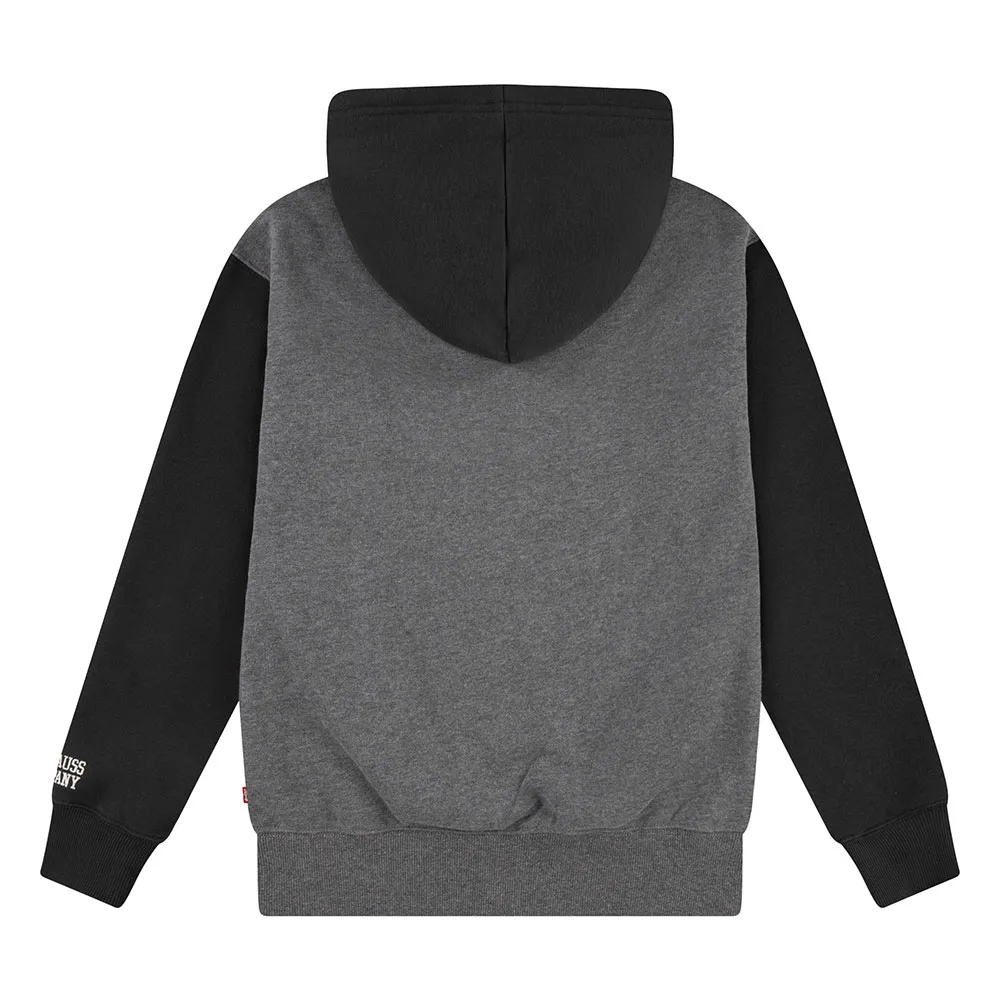Levi's Relaxed Fit Colorblock Tröja Med Huva